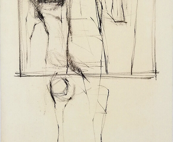 Luis Dourdil, ld247, lapis s papel, 65,5x45,5cm, 2BD